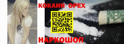 спиды Гай