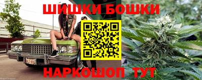 спиды Гай