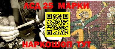 спиды Гай