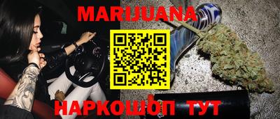 спиды Гай