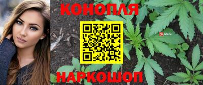 спиды Гай