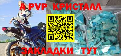 спиды Гай