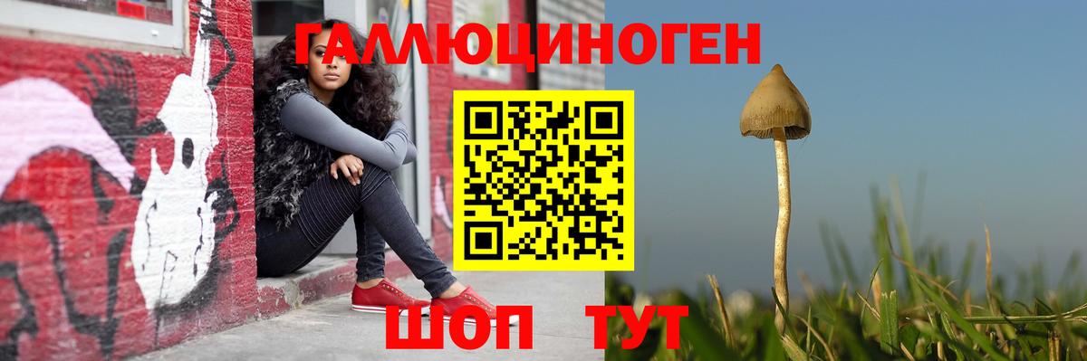 даркнет сайт  Вход с VPN  Зерноград  Галлюциногенные грибы Magic Shrooms 